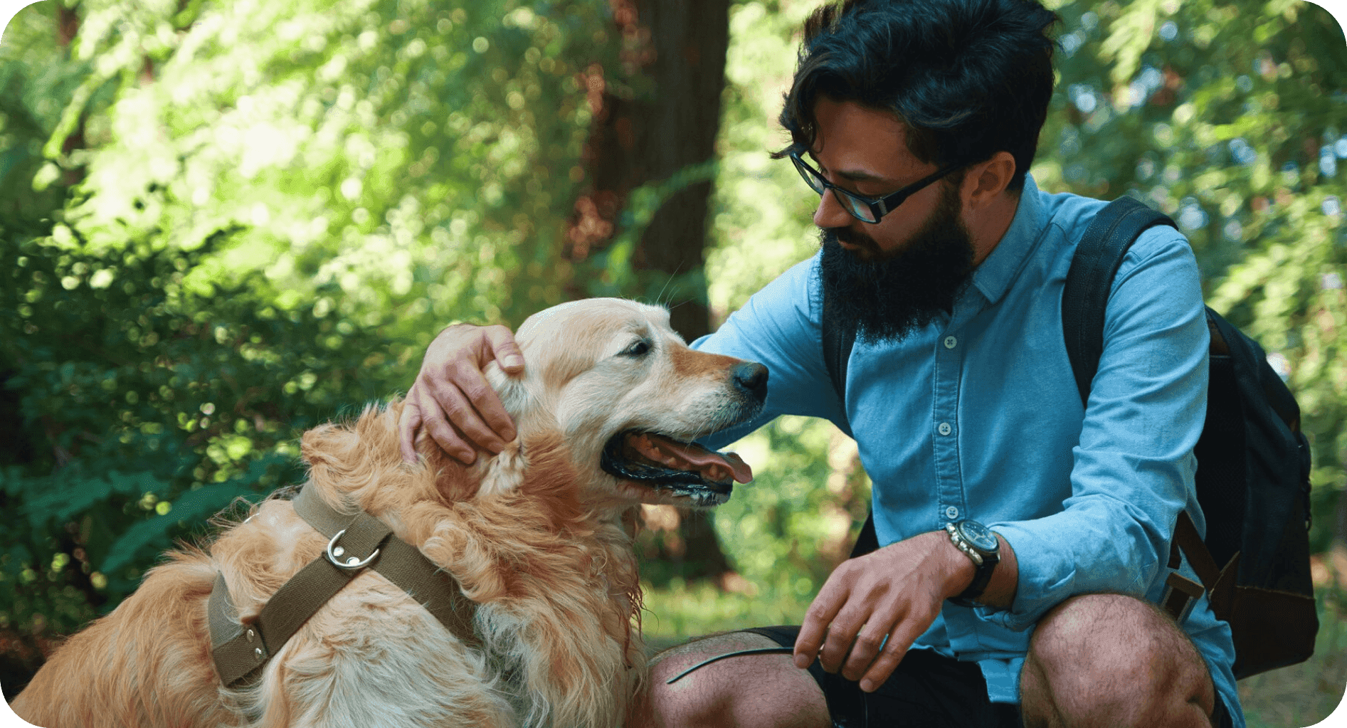 1. Find your Perfect Puppy Through Our Website Detailed Listings
