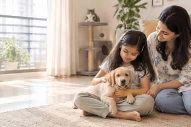 An Indian girl gently petting a Golden Retriever puppy in her lap while her mother supervises and a grey-and-white cat sits on a cat tree in the background.